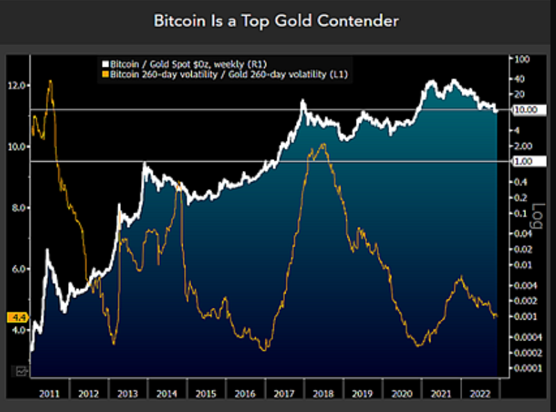Bitcoin is a ‘top contender’ to outperform gold in the long run, says commodity guru