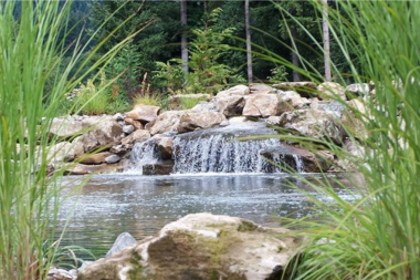 Lake Michigan backyard outdoor living space idea natural pond pool