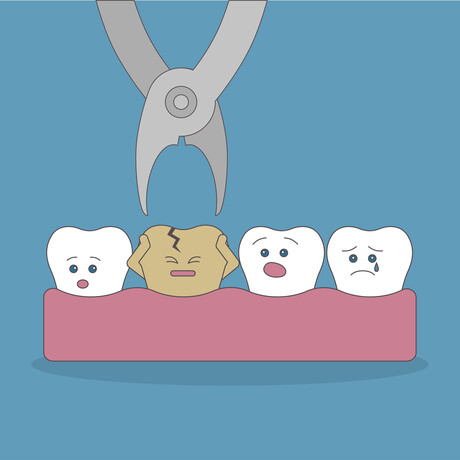 Your Path To Dental Wellness
