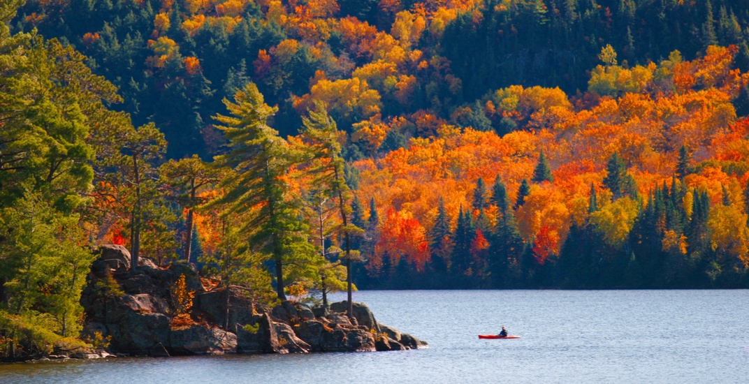 Fall Foliage Boat Ride