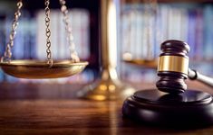 Judicial Review