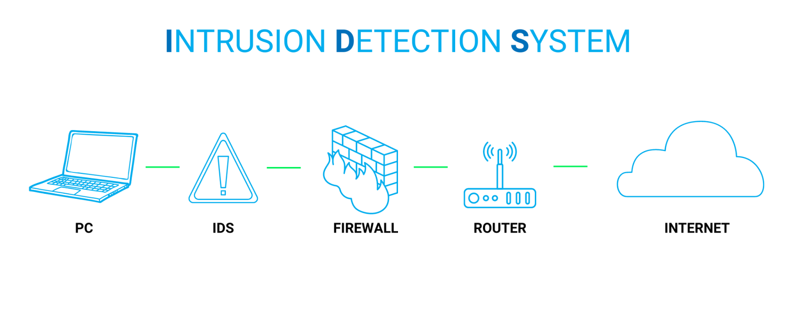 Info Graphic of Intrusion Detection System
