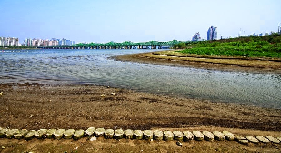 샛강 상류. 한강과 샛강이 만난다