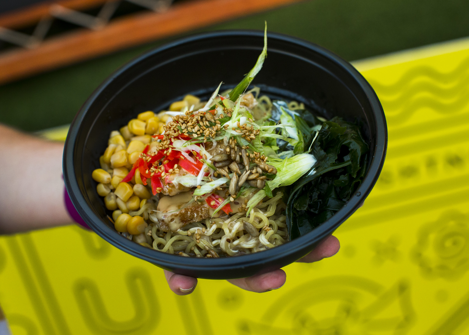 Brisbane Night Noodle markets at the City Botanic Gardens
