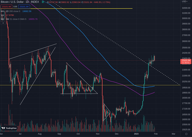 BTC price during the month of January 2023 indicates that it will close at +40%