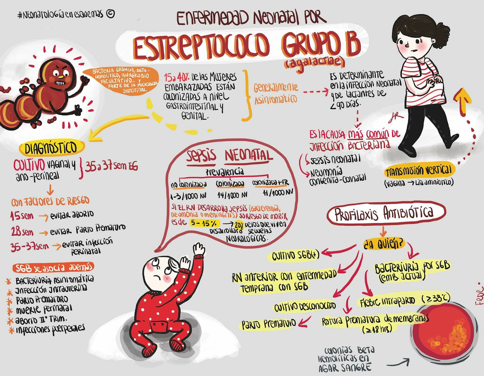 Unidas Para Prevenir-Streptococcus agalactiae
