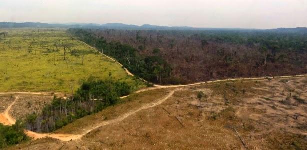 C:\Users\User\Documents\unesp\impacto-ambiental\materia-queimadas\Área da Amazônia desmatada em Novo Progresso no Pará ImagemNelson FeitosaIbamaReuters.jpg