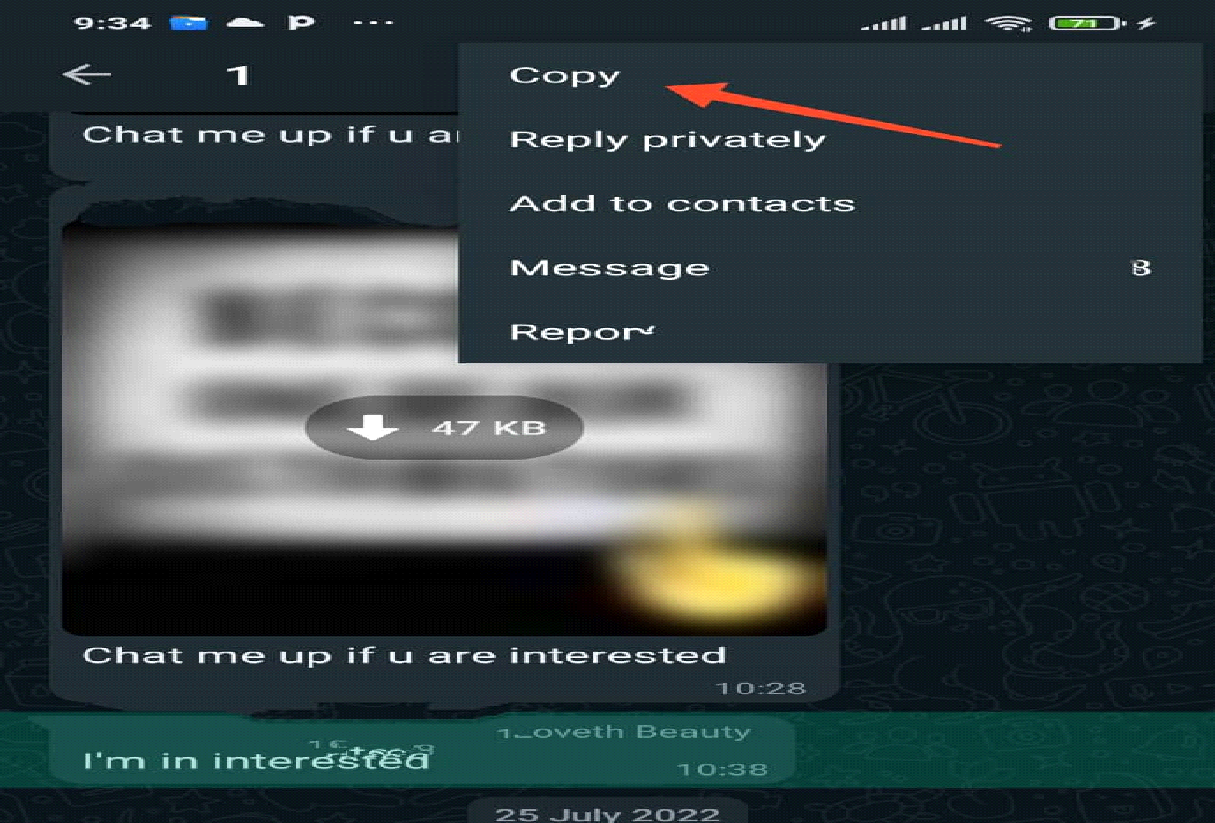 Tap on the "Copy" option to copy the message