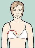 Breast top width: from end to end of underwire, around top contour of breast
