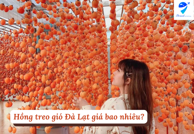 Hồng treo gió Đà Lạt giá bao nhiêu?