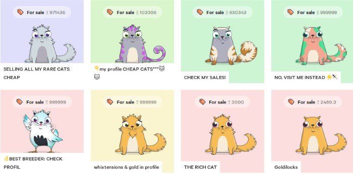CryptoKitties is a fun game in the evolver genre that is based on the Ethereum blockchain