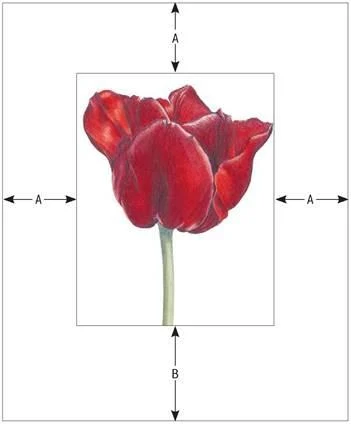 D:\0 wd yedek\acr yedek\1 film indirme\botanicheskaya_illyustraciya2_files\image209.jpg