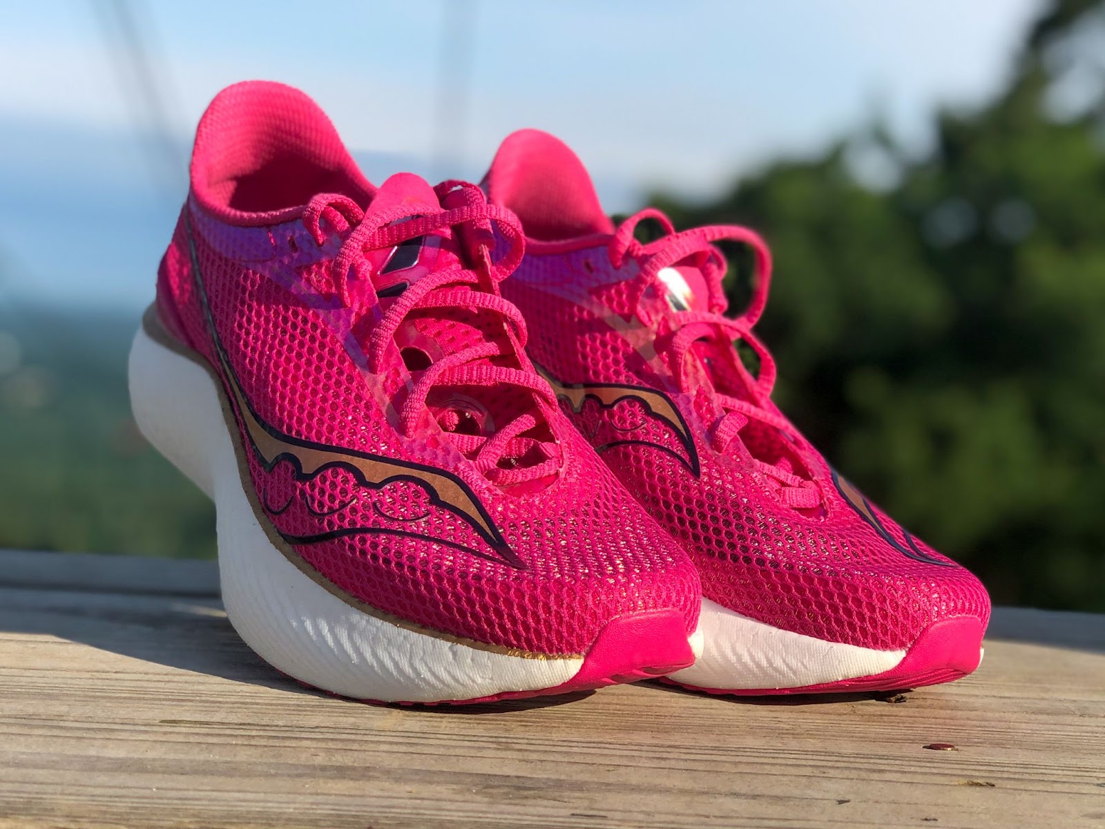 Road Trail Run: Saucony Endorphin Pro 3 Multi Tester Review: Relentlessly  Forward! Buttery Smooth & Versatile! 8 Comparisons