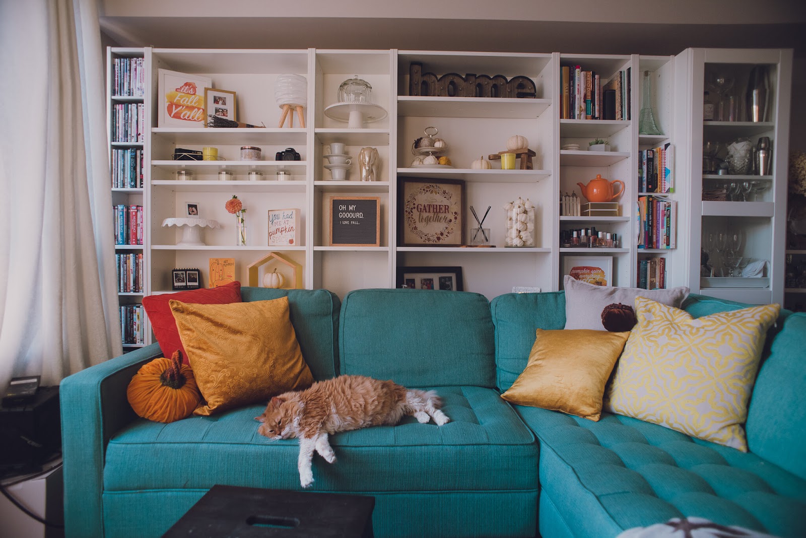 fall-living-room-blue-couch-orange-cat-lily-muffins