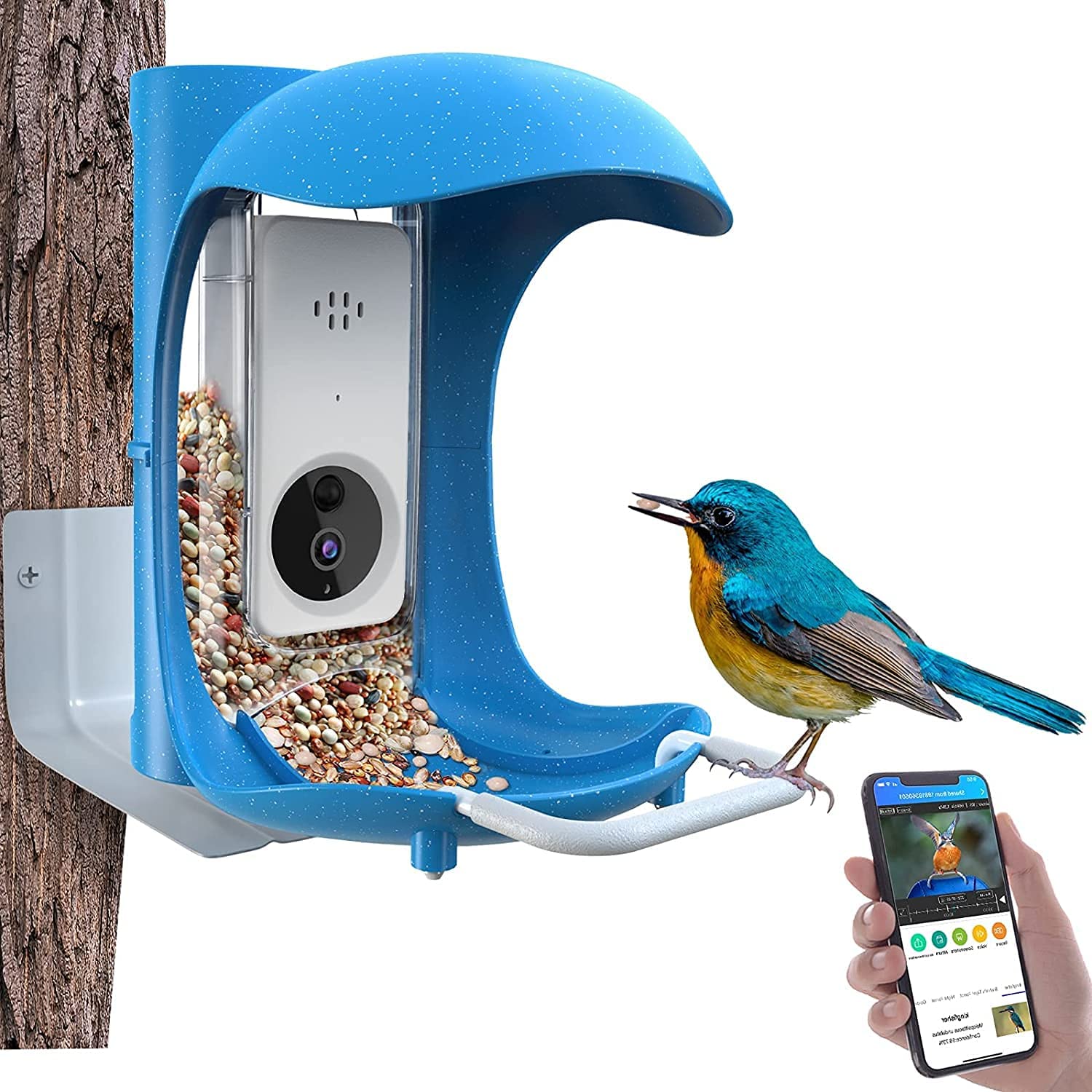 BirdDock Smart Bird Feeder with Camera