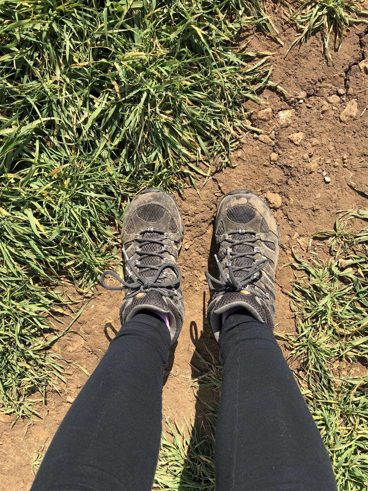 Muddy walking boots on a narrow path along a field 