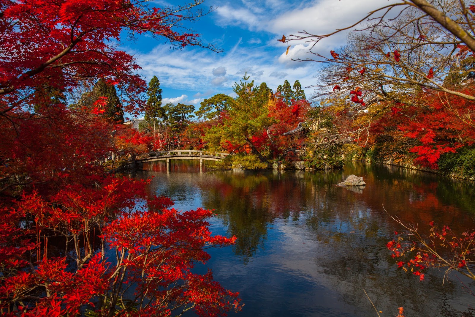 紅葉