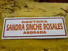 Doctora Sinche Rosales