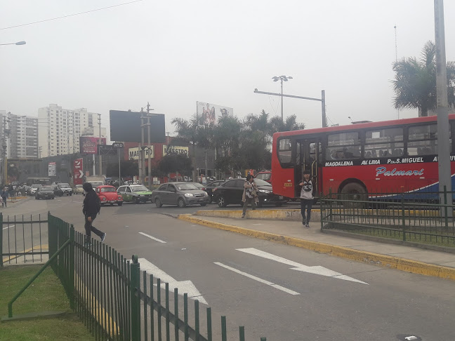 Comentarios y opiniones de Tepsa - Transportes El Pino