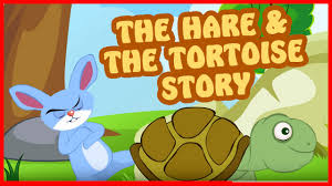 Image result for hare and tortoise