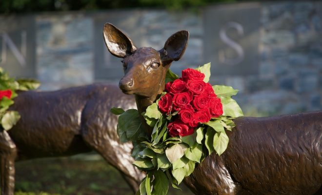 florists decorating public spaces