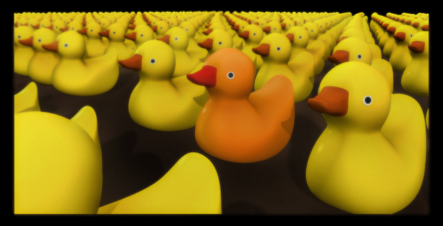 duck army uber randumb.