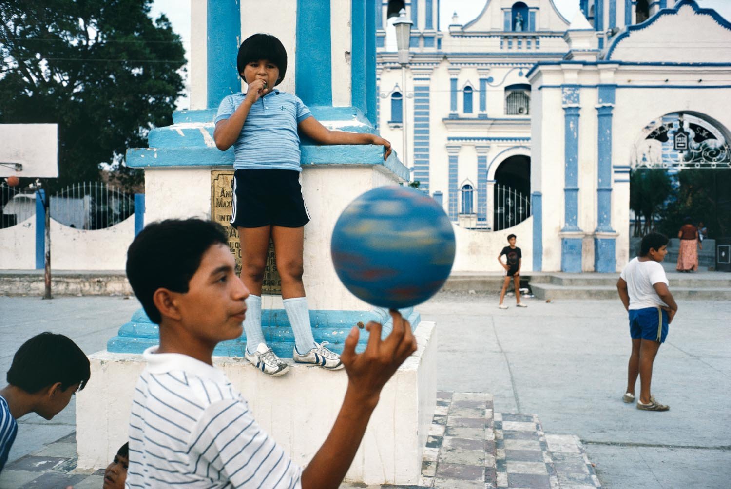 Image result for alex webb