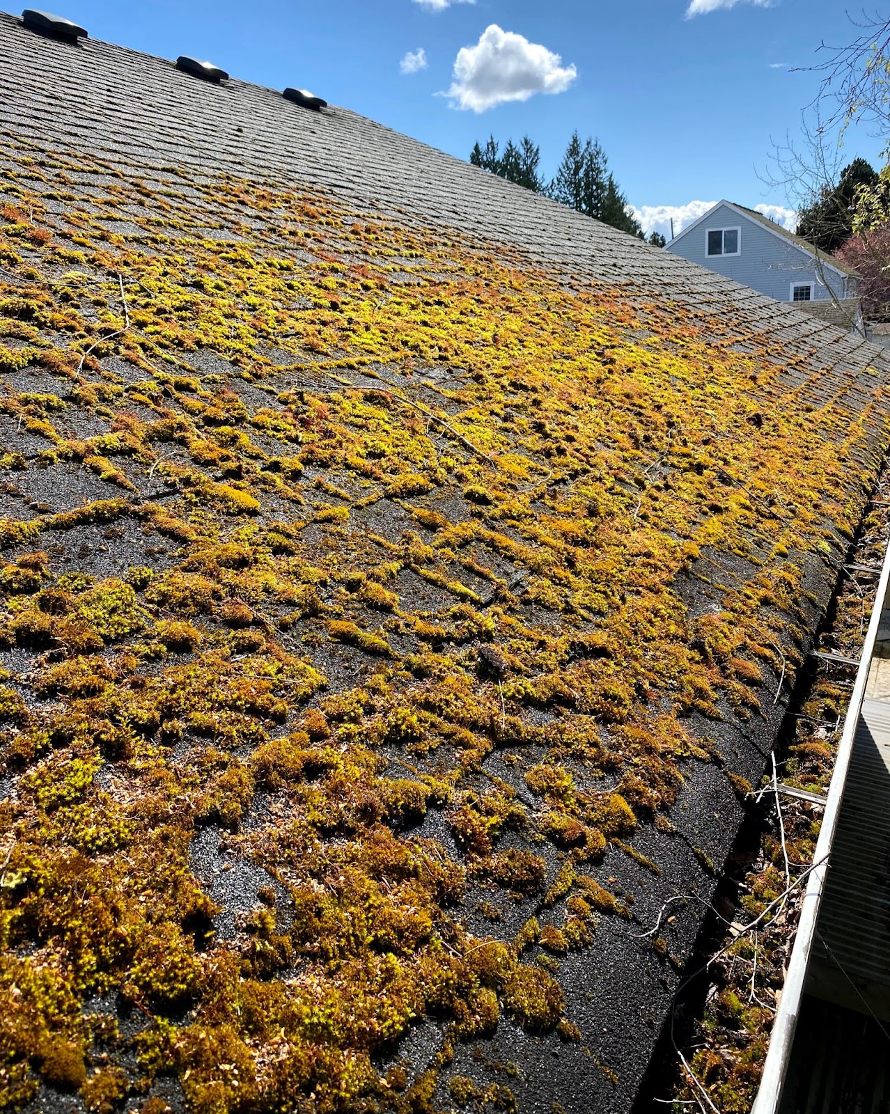 How To Clean Moss Off Your Roof