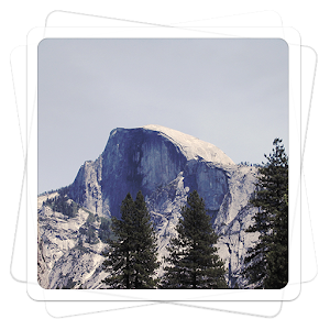Aviary Effects: Woodland apk Download