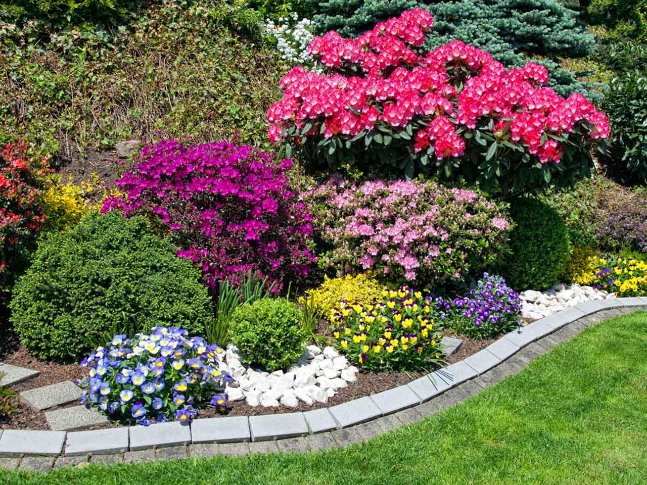 WeServe Flower Bed With Colorful Flowers To Enhance Curb Appeal