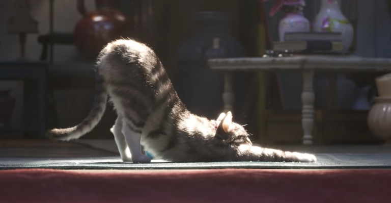 a 3d cat in toy story 4 showing how far technology has gone for 3d animation inspiration