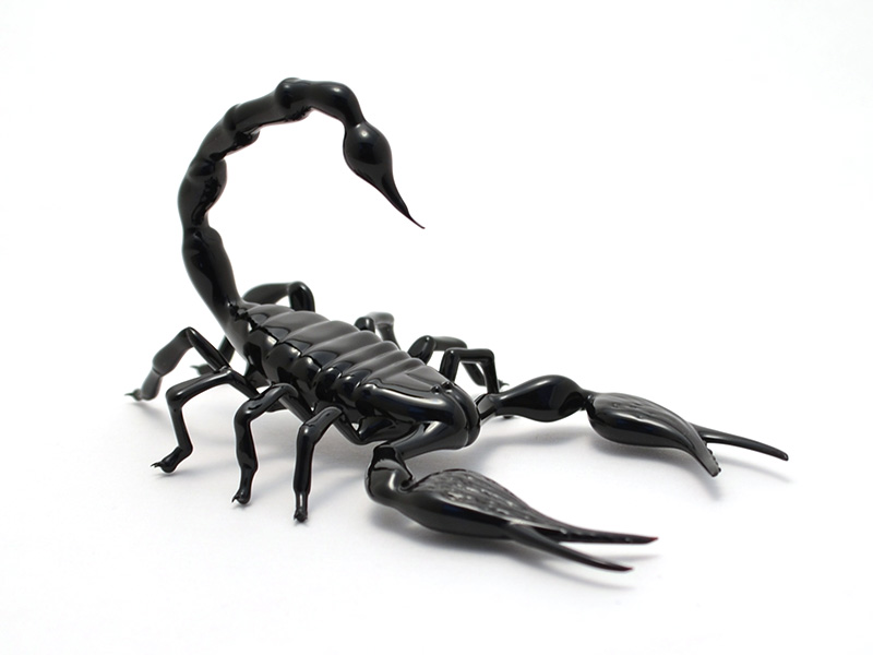 Emperor Scorpion