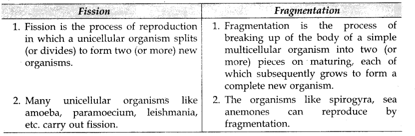 cbse-previous-year-question-papers-class-10-science-sa2-outside-delhi-2016-19