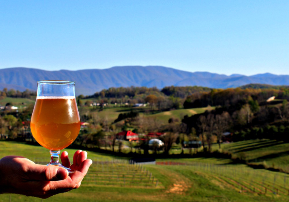 Craft Brewery Experiences And Virginia Loveworks In The Valley