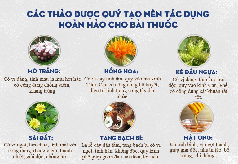 Một số thành phần thuốc chủ đạo trong bài thuốc An Bì Thang