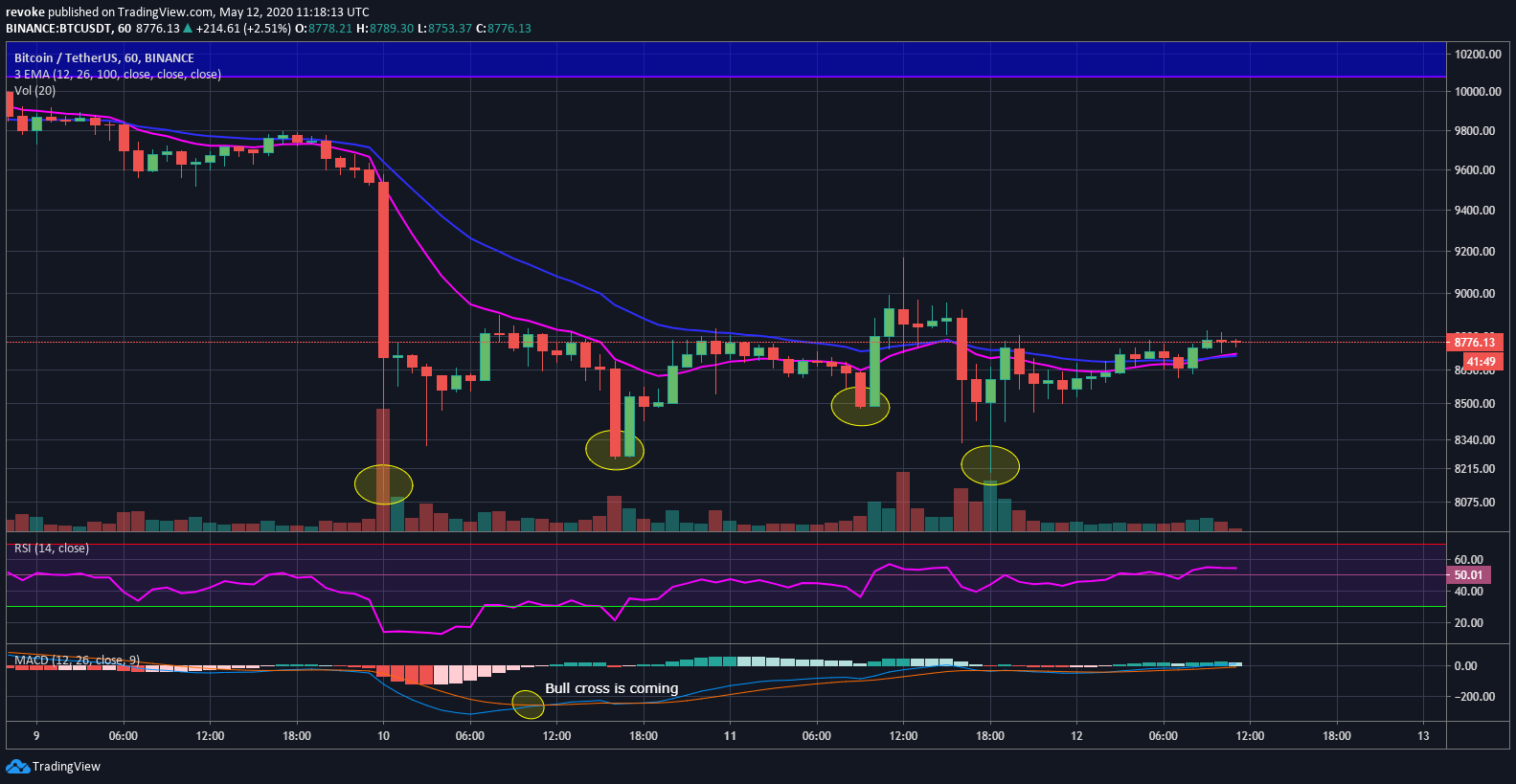 TradingView