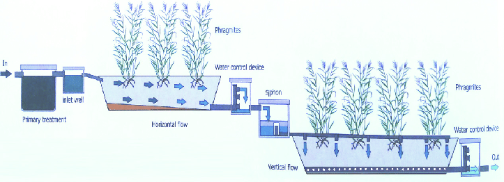 Hybrid Constructed Wetlands