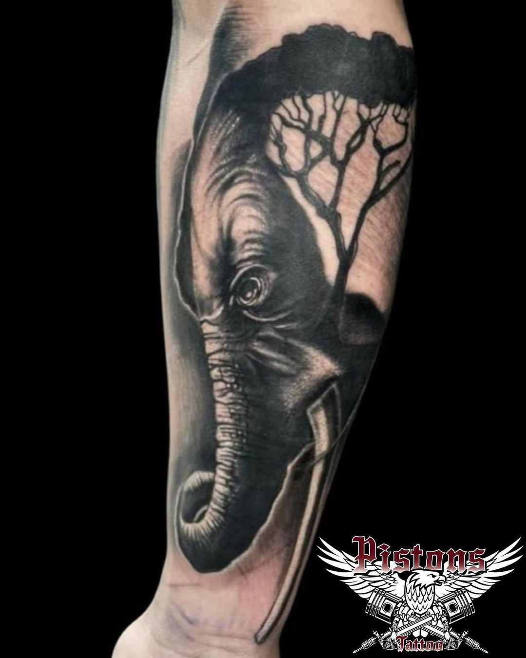 Black Elephant With Tree Tattoo