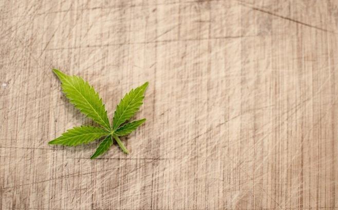 Marijuana, Cannabis, Hash, Leaf, Flora, Pot