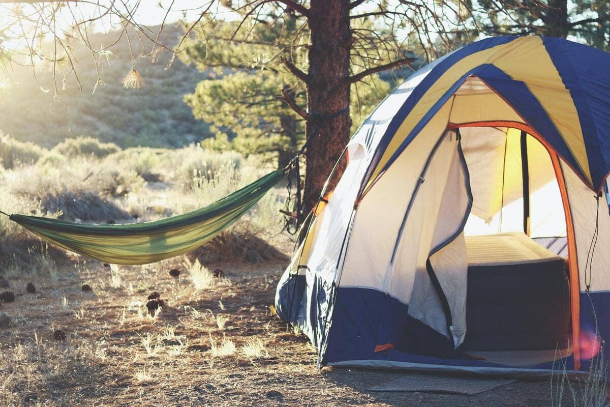 Una tenda da campeggio montata e un'amaca montata in un bosco