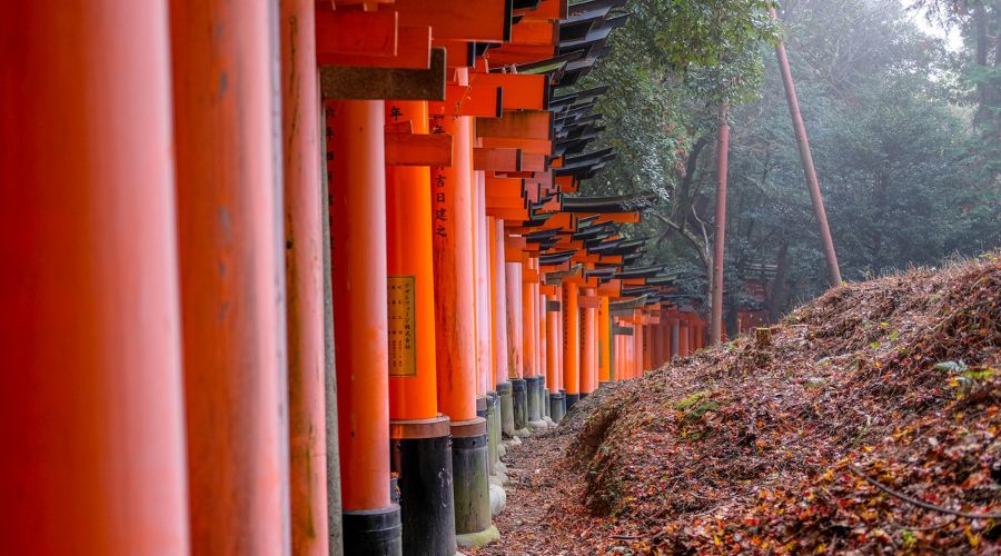 Kyoto's Fushimi Inari, | Tripreviewhub.com
