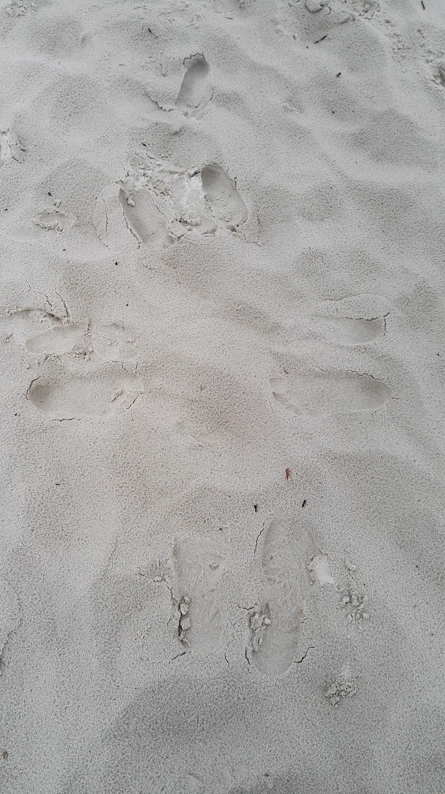 Jak stopy na piasku.jpg