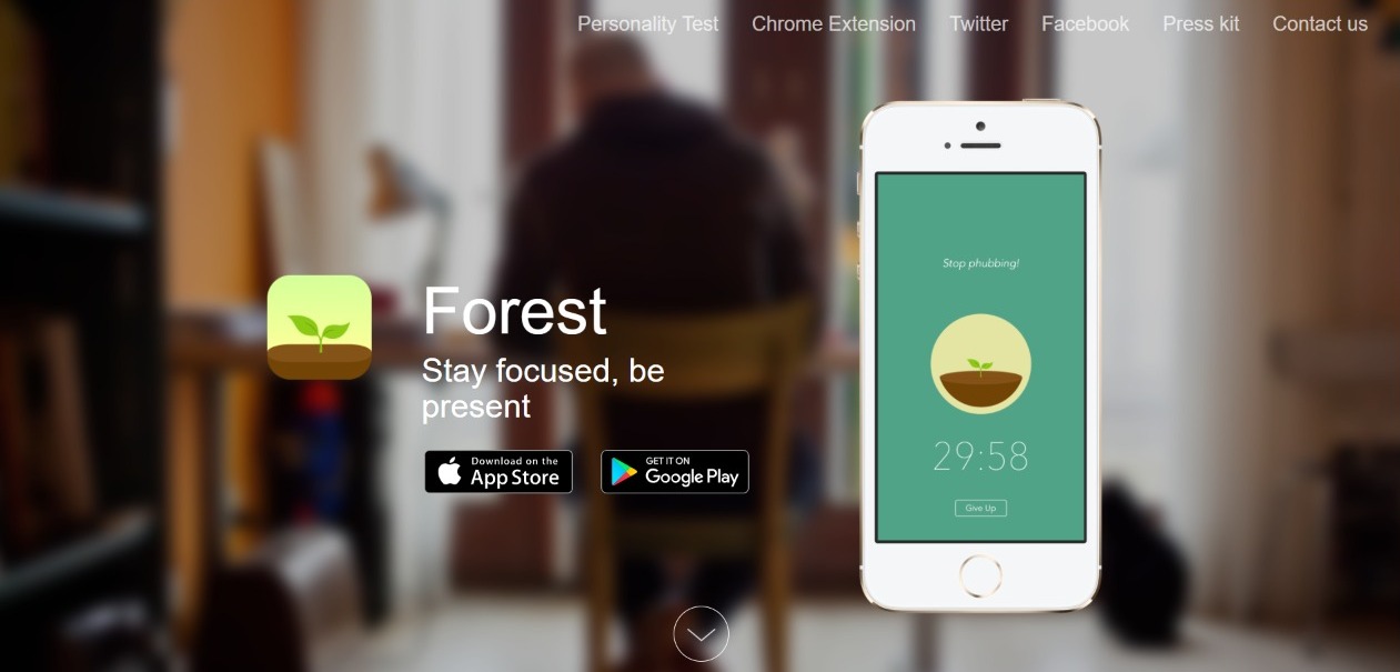 Forest - Home Page
