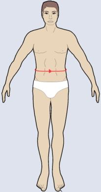 Measure across the waist elastic at the true waistline. (put hands to side to determine true waistline)