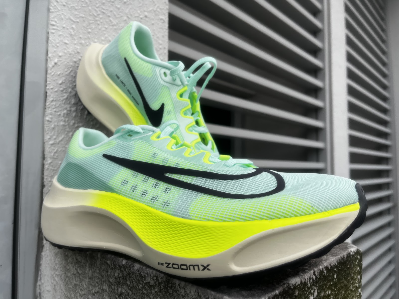 Road Trail Run: Nike Zoom Fly 5 Review (100 km): ZoomX Core and New Plate  Shifts the Focus! 7 Comparisons