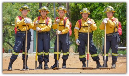 brigada forestal femenina ok.jpg