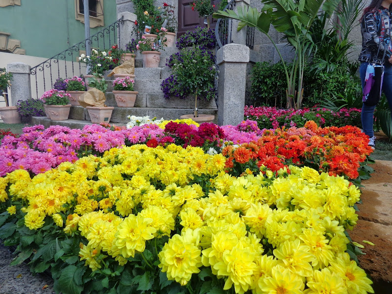 Круиз Azamara Quest, апрель 2014: удивительный кайфой круиз удивительных встреч форумчан