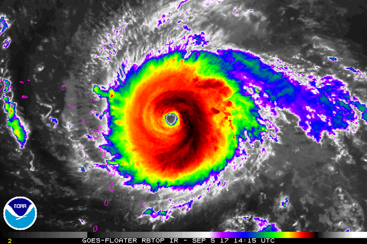 Image result for hurricane irma
