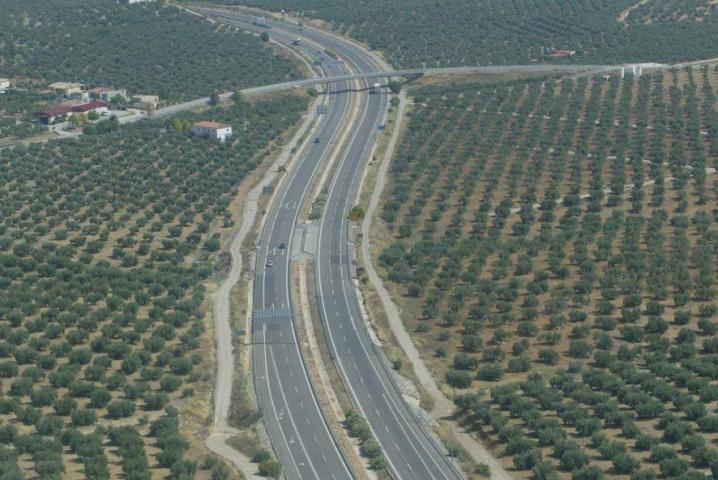 olivos carretera