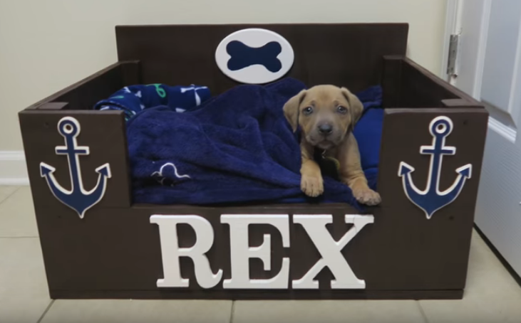 7 Cute Dog Bed Ideas You Can Make in a Flash